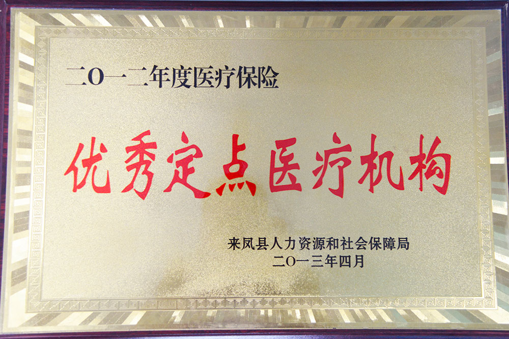 2012年度医疗保险优秀定点医疗机构.jpg