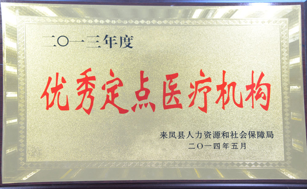 2013年度优秀定点医疗机构.jpg