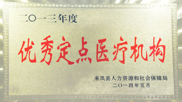 2013年度优秀定点医疗机构