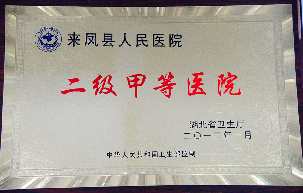 202201181817413822.jpg 湖北省卫生厅授予我院二级甲等医院的荣誉称号.jpg