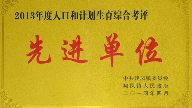 2013年度人口和计划生育综合考评先进单位