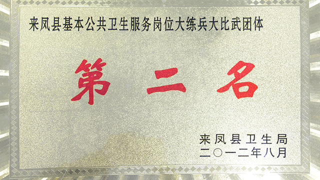 来凤县基本公共卫生服务岗位大练兵大比武团体第二名