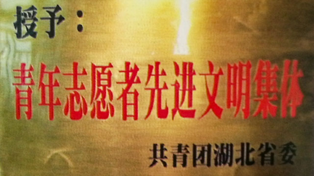 青年志愿者先进文明集体