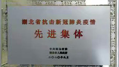 湖北省抗击新冠肺炎疫情先进集体