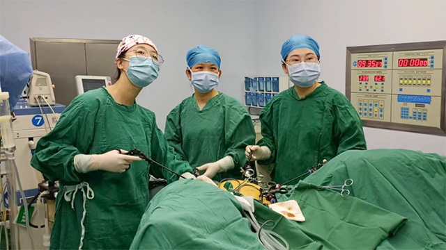 湖北省肿瘤医院专家支援来医妇科，我科将开展妇科肿瘤手术治疗