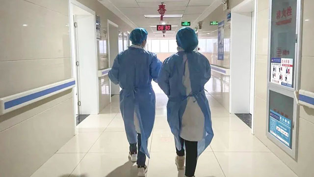 白衣素手护凤城，众志成城候春风