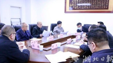 湖北省卫健委副主任张定宇赴来凤县人民医院调研指导工作