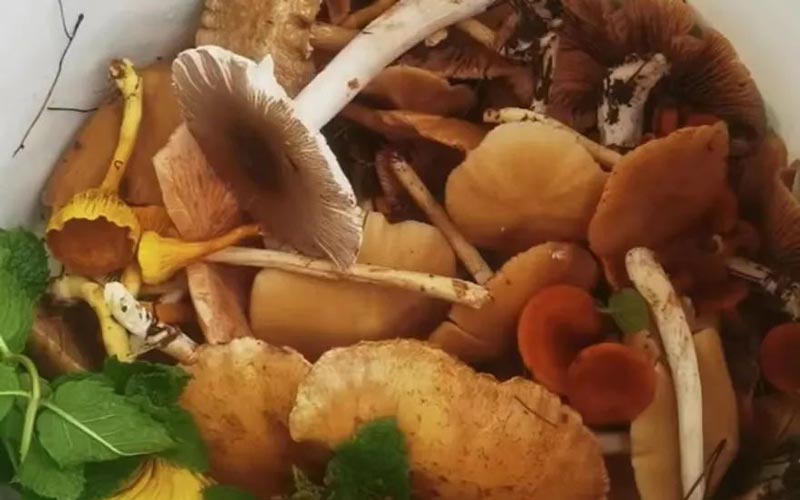 202307201712538391.jpg 640.jpg