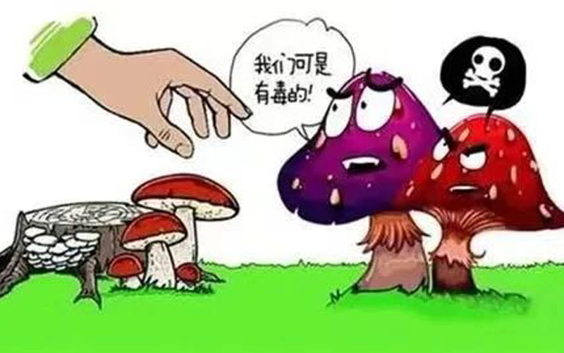 202307201713175197.jpg 微信图片_20230720172508.jpg