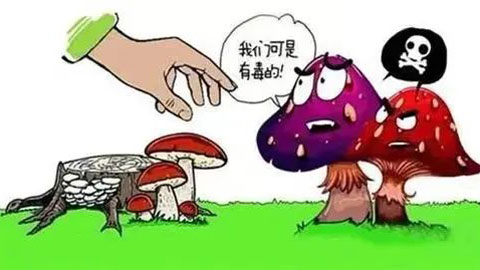 来凤县人民医院提醒：野生菌美味，尝鲜要谨慎！