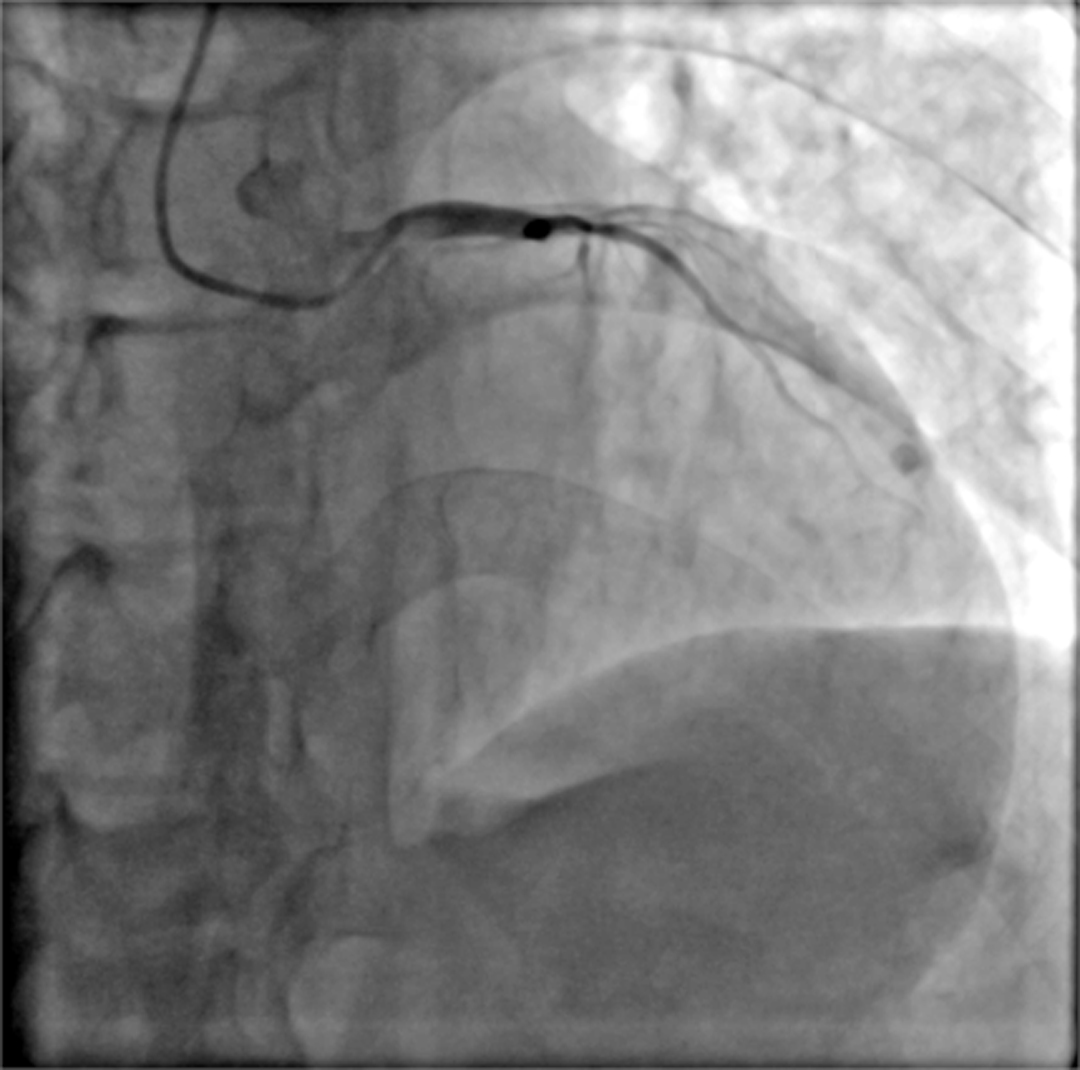 202311070903145695.jpg 175.jpg