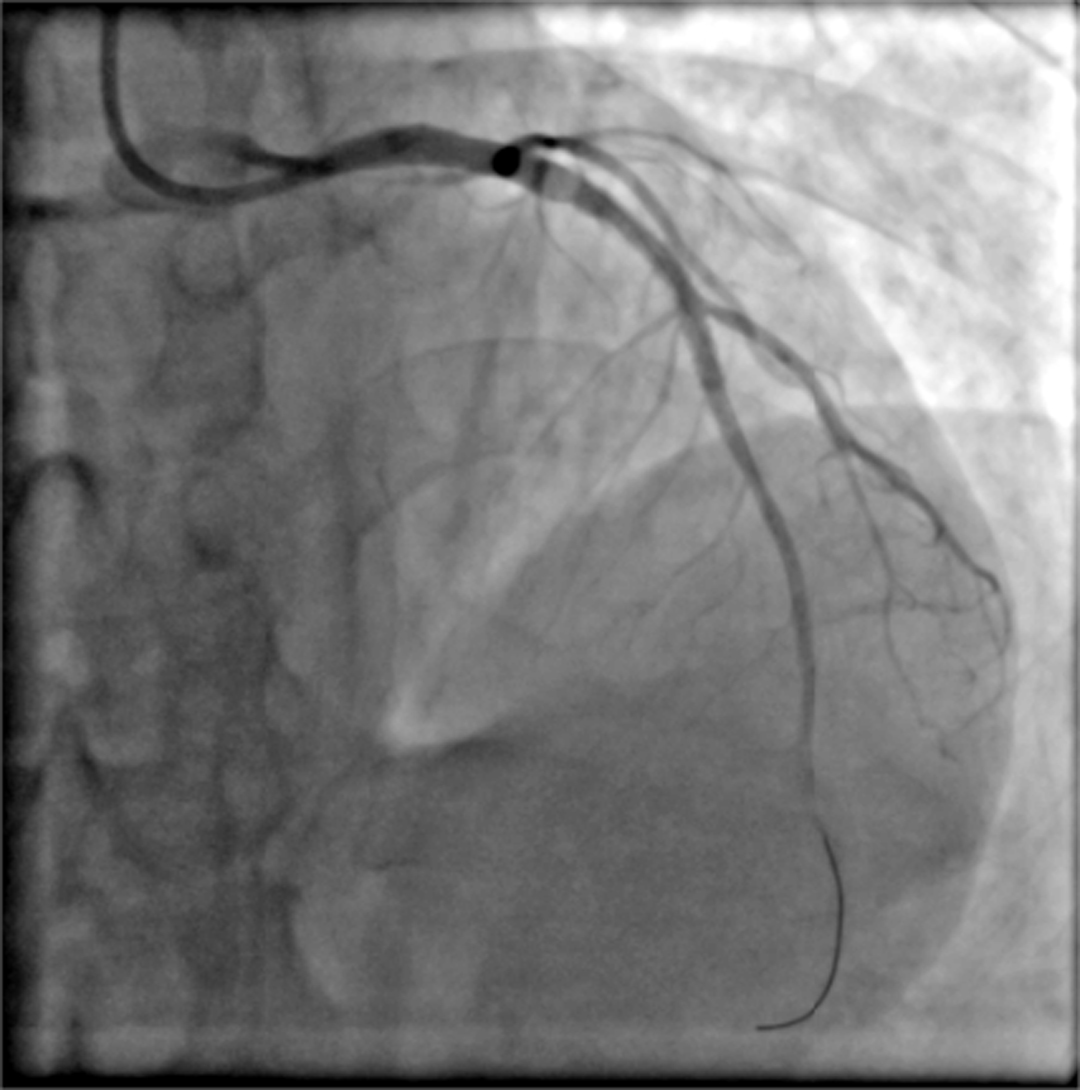 202311070903257631.jpg 176.jpg