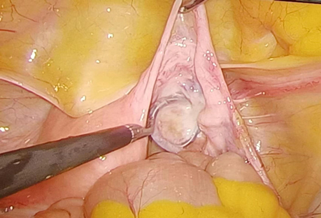 202311171651298515.jpg 12.jpg