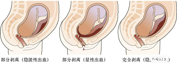 202407100919274179.jpg 微信图片_20240710094101.jpg