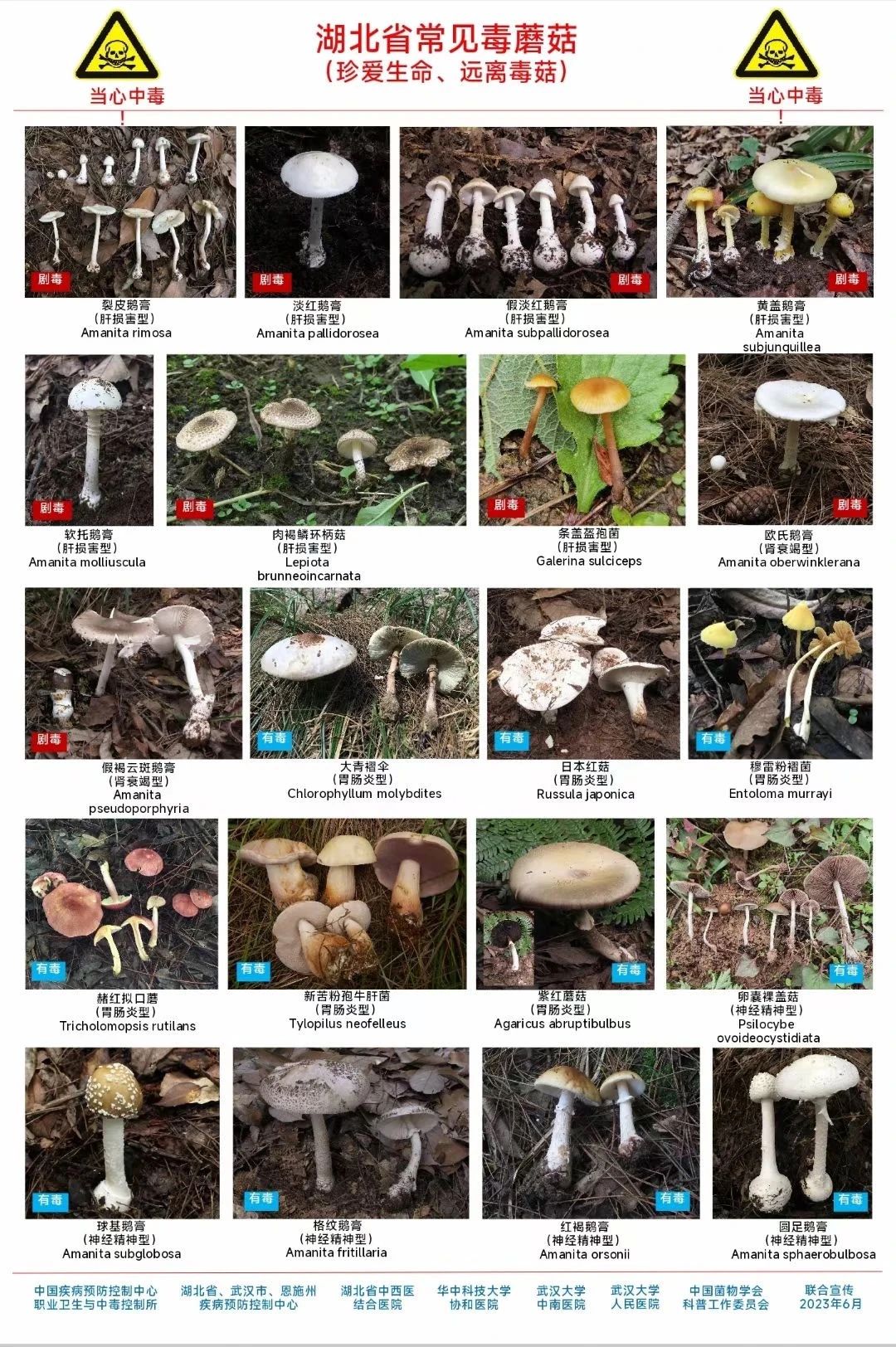 202407240945556147.jpg 微信图片_20240724101152.jpg