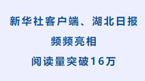 新华社客户端、湖北日报频频亮相，阅读量突破16万