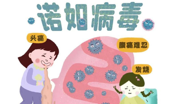 诺如病毒来袭，宝宝上吐下泻怎么办？来凤县人民医院儿科医生来支招！