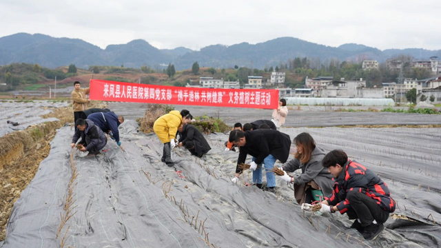 携手造林 共树健康——来凤县人民医院开展义务植树活动为生态添绿