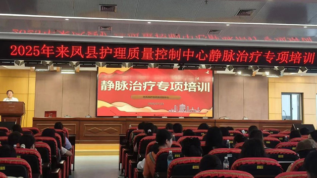 来凤县2025年静脉治疗专项培训成功举办
