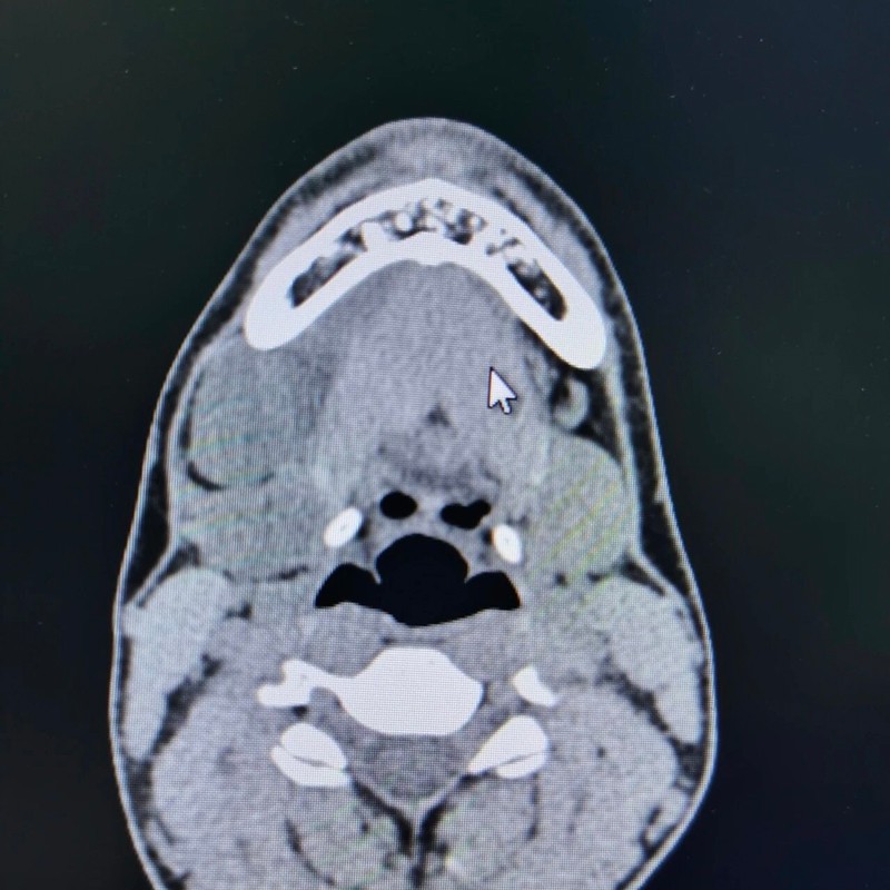 202603130923382010.jpg 202603130923382010.jpg