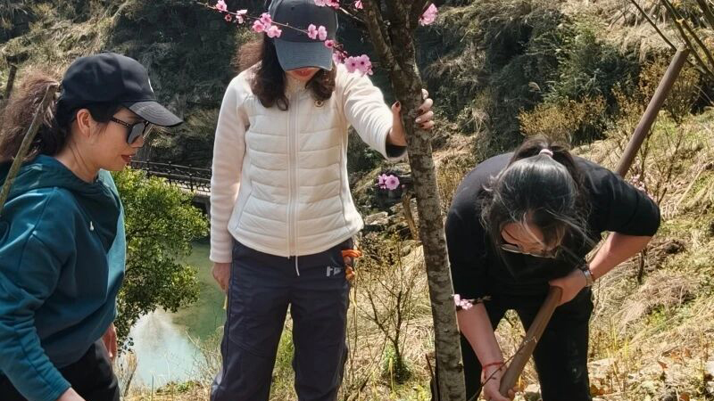 202603170929141323.jpg 微信图片_2026-03-17_093756_008.jpg